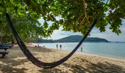 Couple caught having sex in hammock outside Southampton hotspot